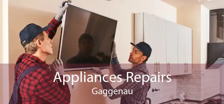 Appliances Repairs Gaggenau