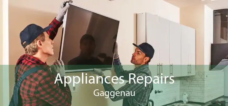 Appliances Repairs Gaggenau
