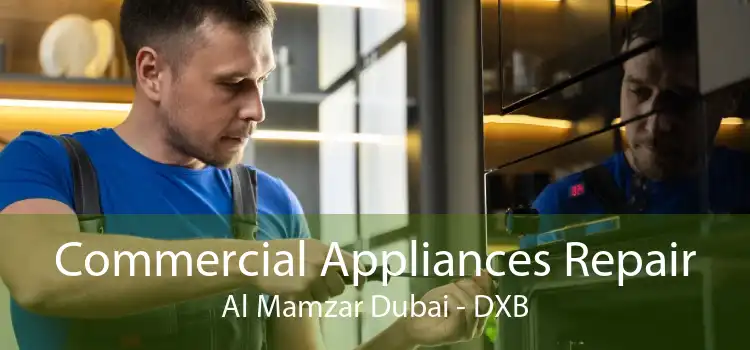 Commercial Appliances Repair Al Mamzar Dubai - DXB