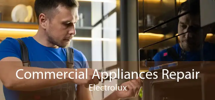 Commercial Appliances Repair Electrolux