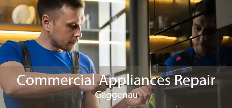 Commercial Appliances Repair Gaggenau