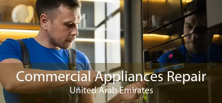 Commercial Appliances Repair United Arab Emirates
