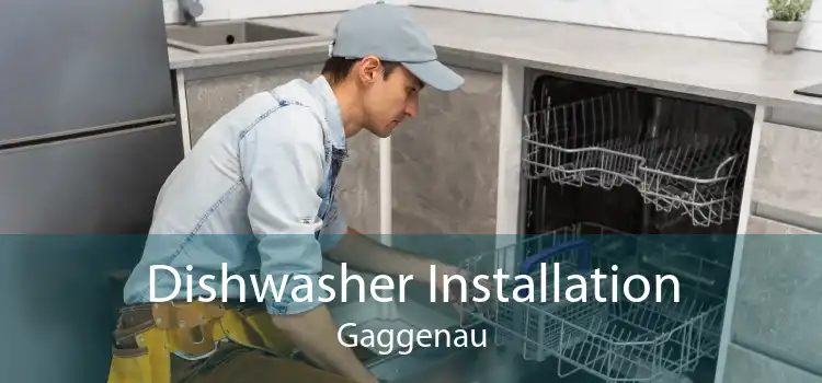 Dishwasher Installation Gaggenau