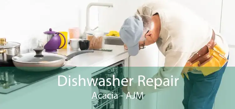 Dishwasher Repair Acacia - AJM