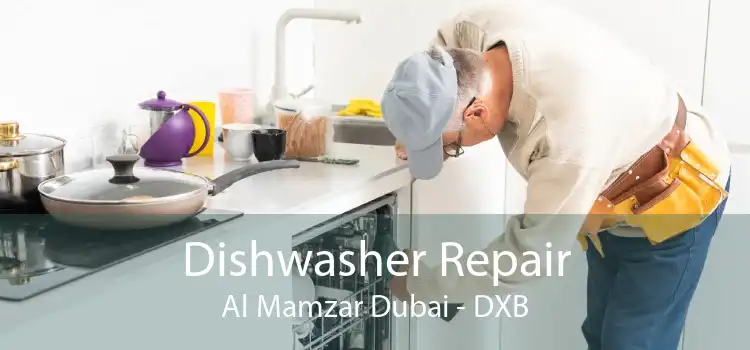 Dishwasher Repair Al Mamzar Dubai - DXB
