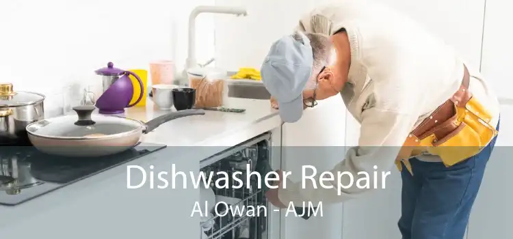 Dishwasher Repair Al Owan - AJM