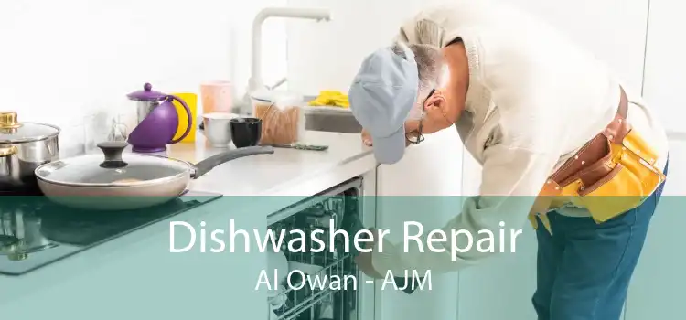 Dishwasher Repair Al Owan - AJM