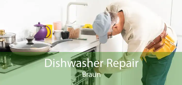 Dishwasher Repair Braun