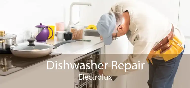 Dishwasher Repair Electrolux