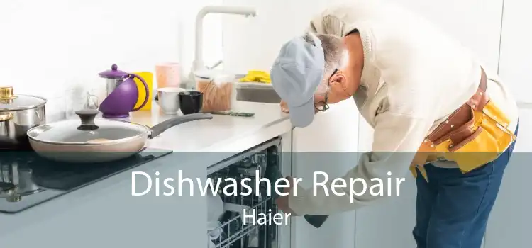 Dishwasher Repair Haier
