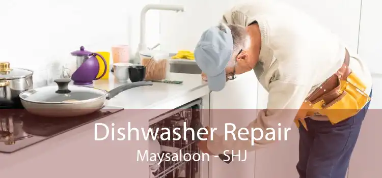 Dishwasher Repair Maysaloon - SHJ
