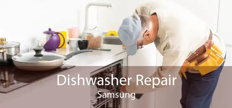 Dishwasher Repair Samsung