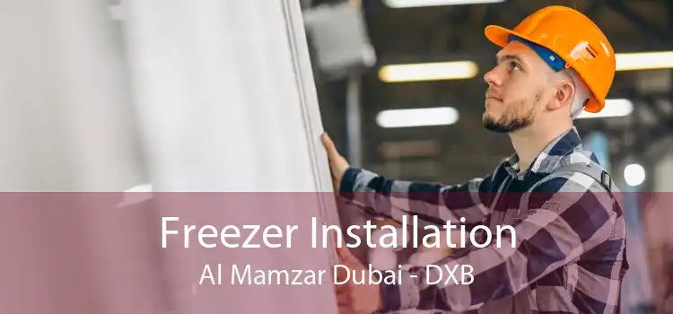 Freezer Installation Al Mamzar Dubai - DXB