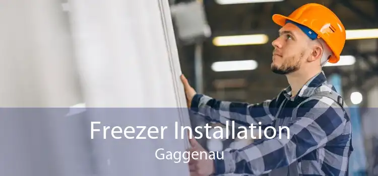 Freezer Installation Gaggenau