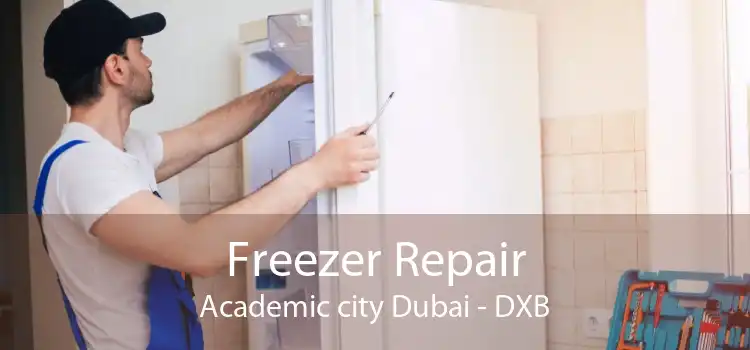 Freezer Repair Academic city Dubai - DXB