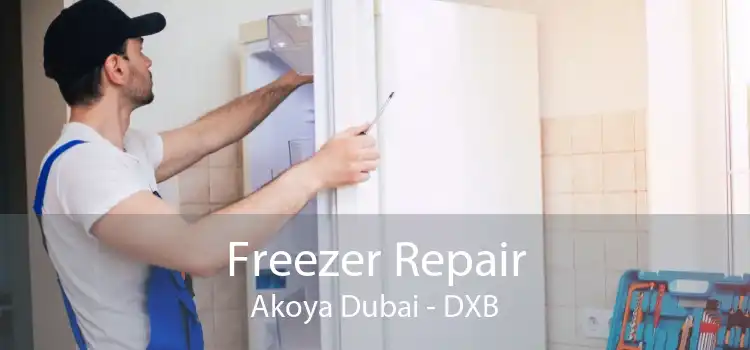 Freezer Repair Akoya Dubai - DXB