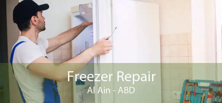 Freezer Repair Al Ain - ABD