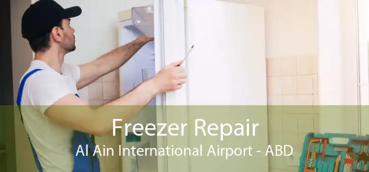 Freezer Repair Al Ain International Airport - ABD