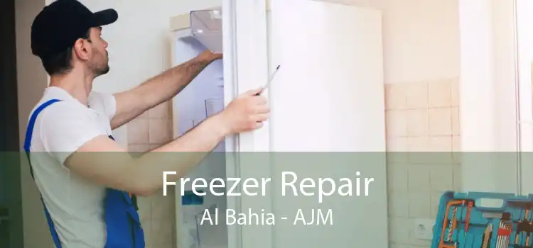 Freezer Repair Al Bahia - AJM