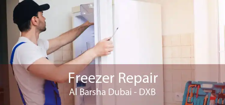 Freezer Repair Al Barsha Dubai - DXB