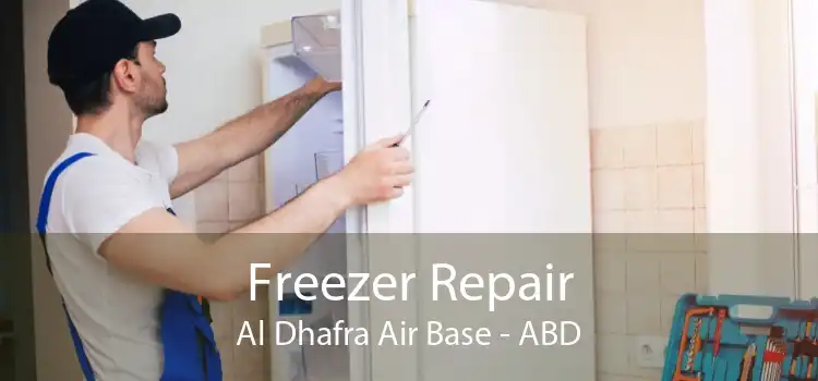 Freezer Repair Al Dhafra Air Base - ABD