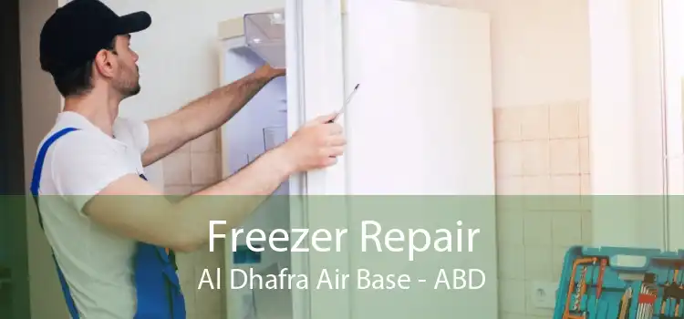 Freezer Repair Al Dhafra Air Base - ABD