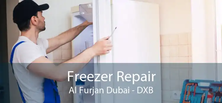 Freezer Repair Al Furjan Dubai - DXB