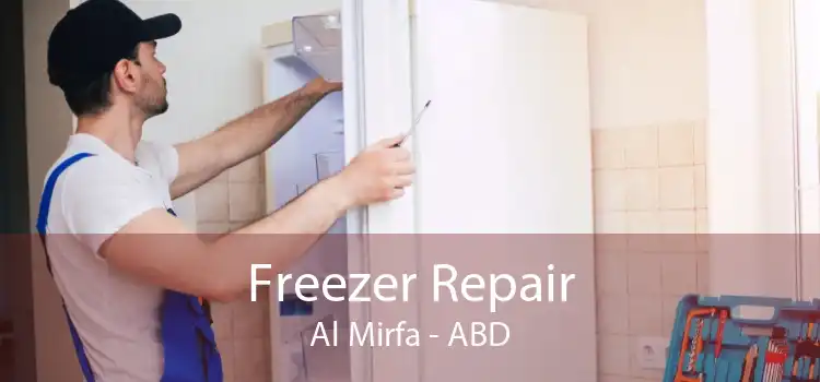 Freezer Repair Al Mirfa - ABD