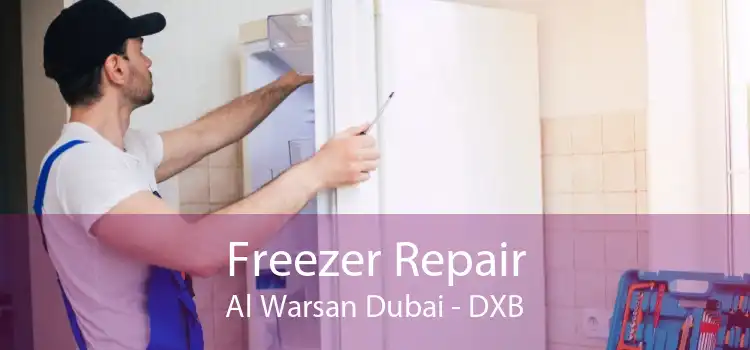 Freezer Repair Al Warsan Dubai - DXB