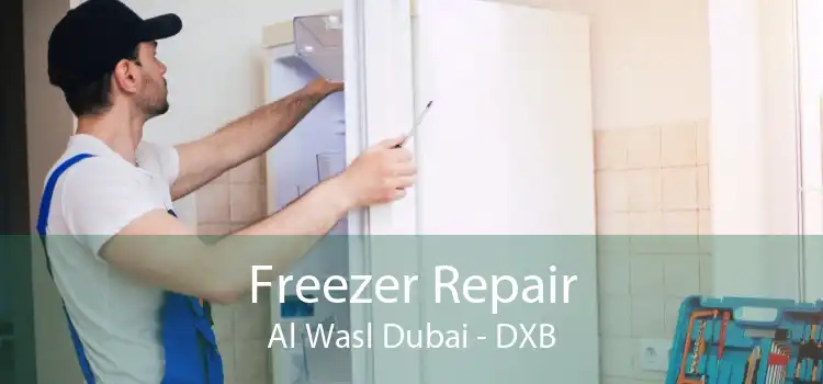 Freezer Repair Al Wasl Dubai - DXB