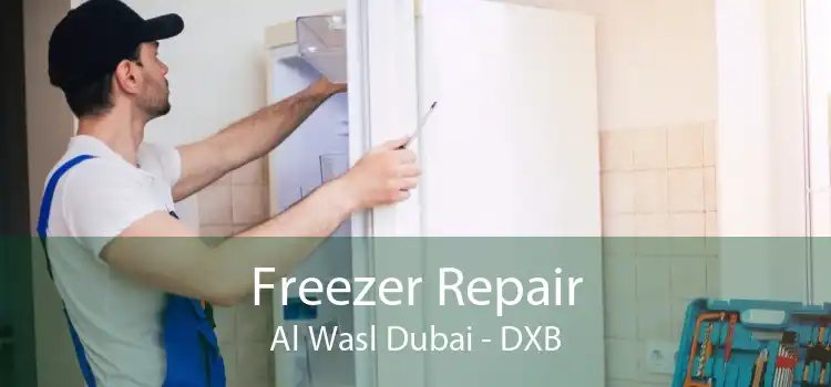 Freezer Repair Al Wasl Dubai - DXB