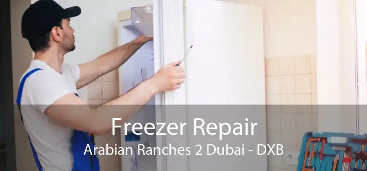 Freezer Repair Arabian Ranches 2 Dubai - DXB