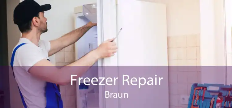 Freezer Repair Braun