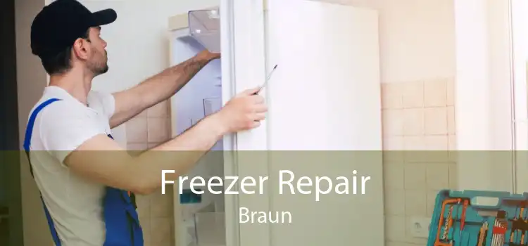 Freezer Repair Braun