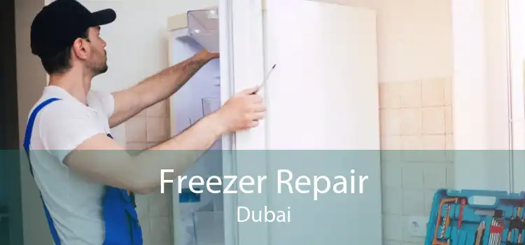 Freezer Repair Dubai