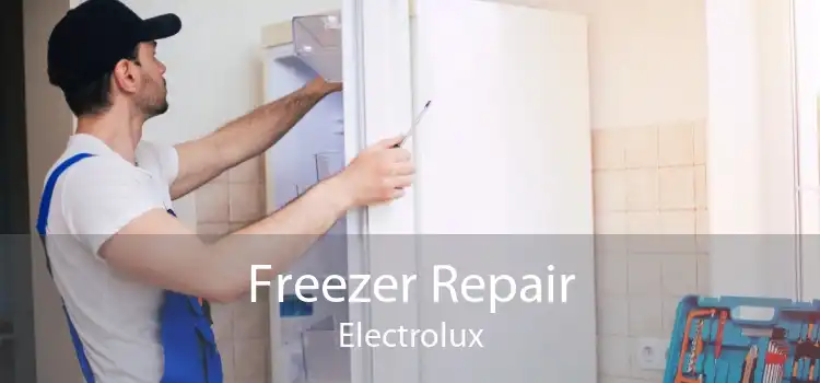 Freezer Repair Electrolux