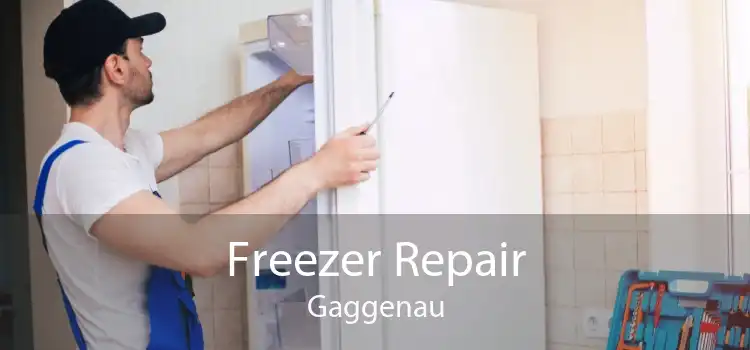Freezer Repair Gaggenau