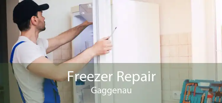Freezer Repair Gaggenau