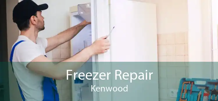 Freezer Repair Kenwood