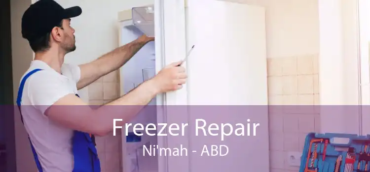 Freezer Repair Ni'mah - ABD