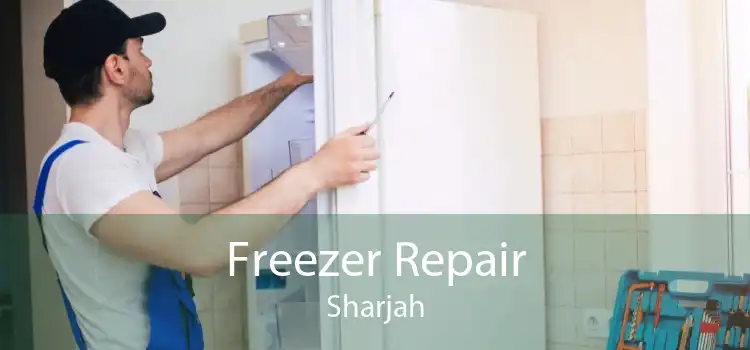 Freezer Repair Sharjah