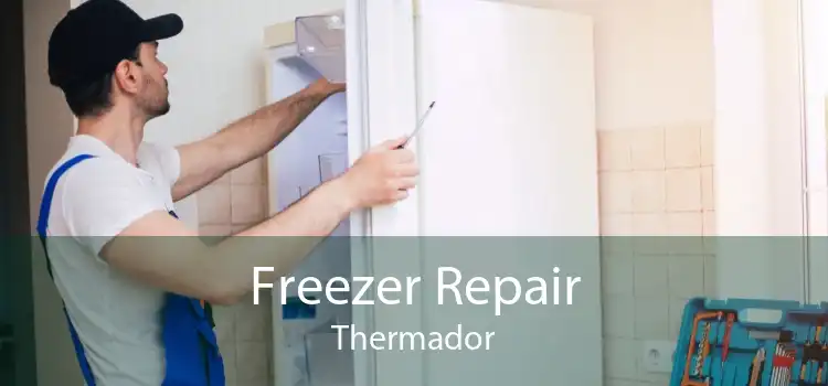 Freezer Repair Thermador
