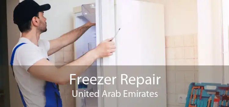 Freezer Repair United Arab Emirates