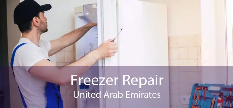 Freezer Repair United Arab Emirates