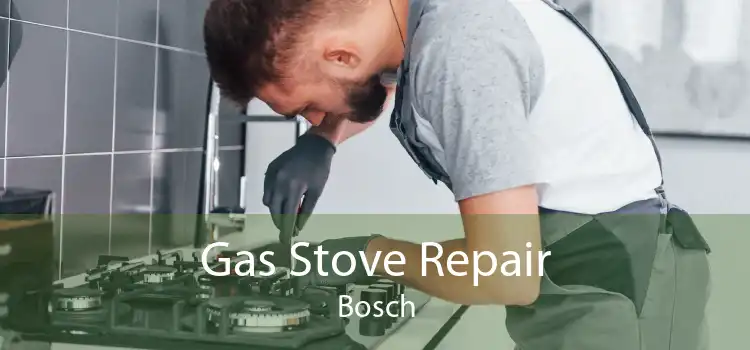 Gas Stove Repair Bosch