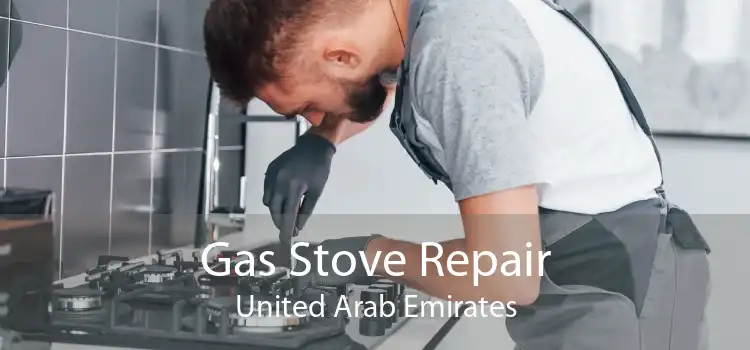 Gas Stove Repair United Arab Emirates