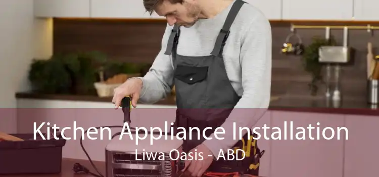 Kitchen Appliance Installation Liwa Oasis - ABD