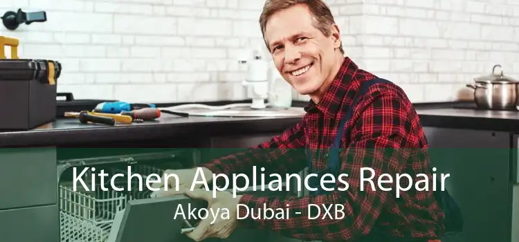 Kitchen Appliances Repair Akoya Dubai - DXB