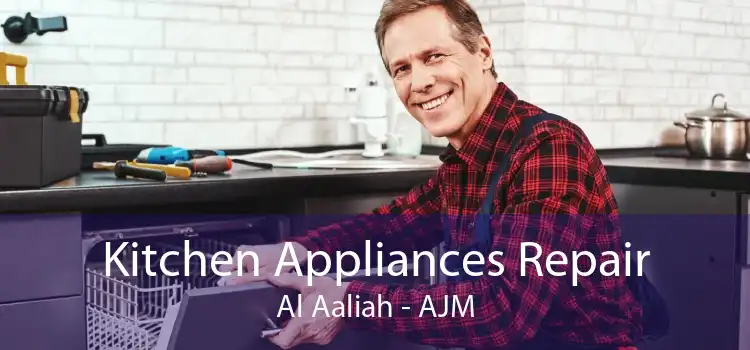 Kitchen Appliances Repair Al Aaliah - AJM