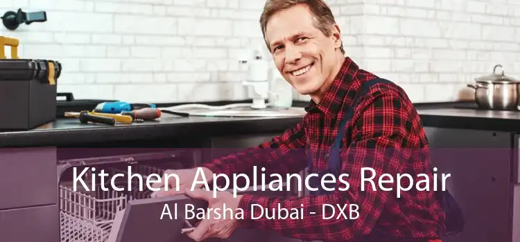 Kitchen Appliances Repair Al Barsha Dubai - DXB